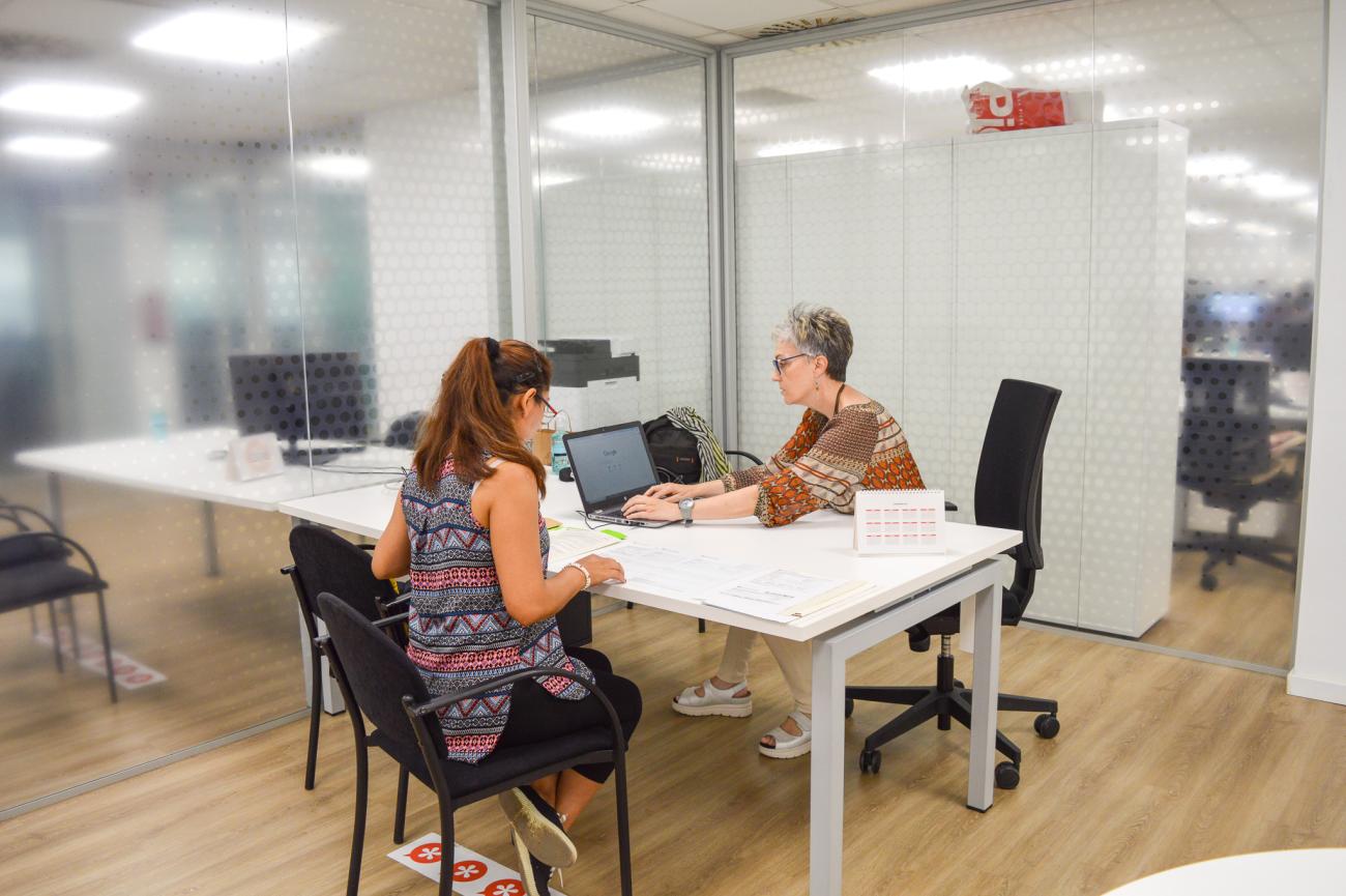Programa Interprofessions